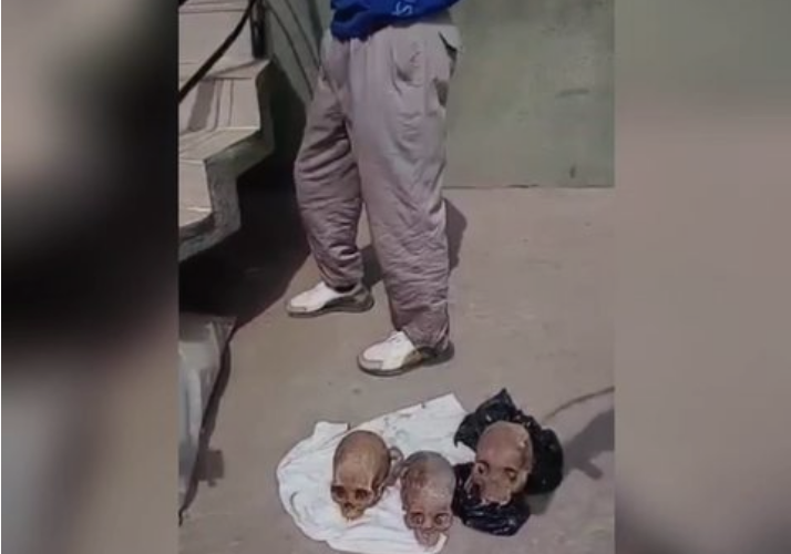 Man apprehended with three human skulls (video)