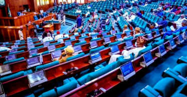 Shutdown Institutions To Enable Students Vote During Elections, Reps Urge Fg