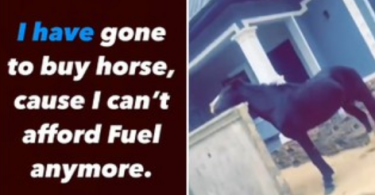Nigerian Man Buys A Horse Because Of Lingering Fuel Scarcity (pics/video)