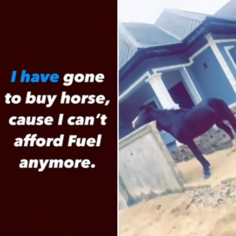 Nigerian Man Buys A Horse Because Of Lingering Fuel Scarcity (pics/video)
