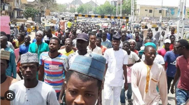 Protesters storm Kano State, kick against planned military intervention in Niger